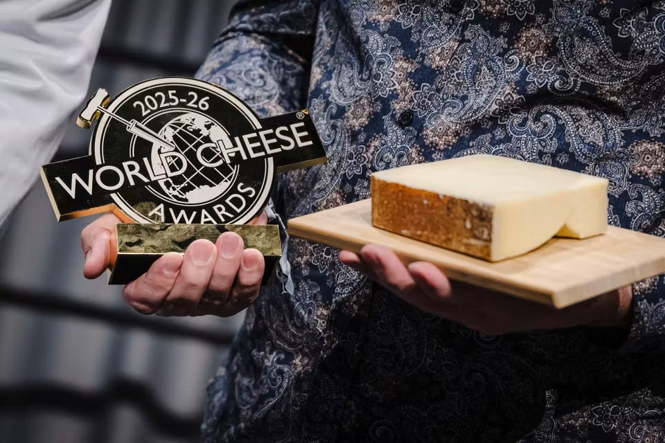 جبن Swiss gruyère يتوج كأفضل جبن في العالم