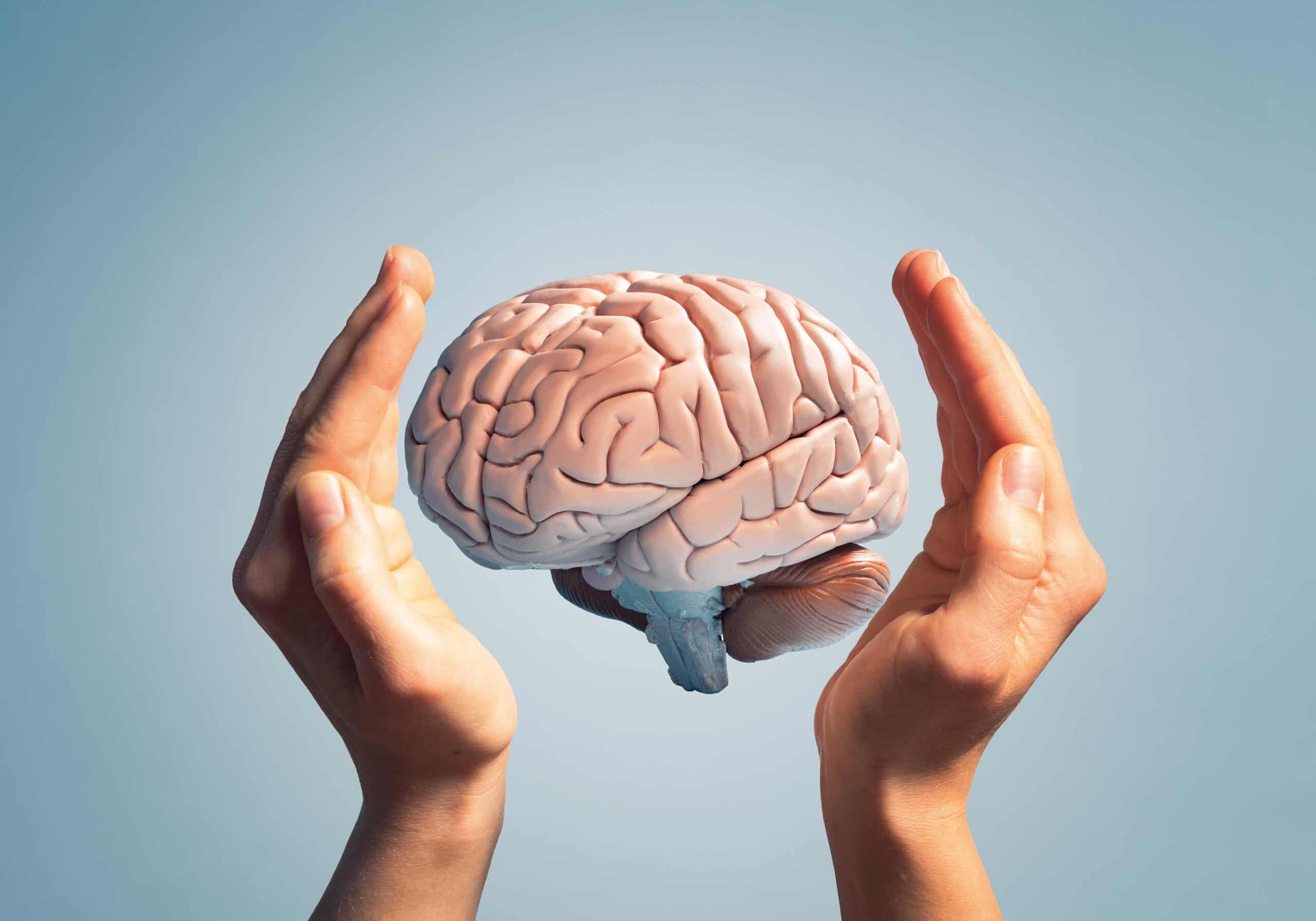لماذا يحتاج دماغك إلى طقوس يومية؟