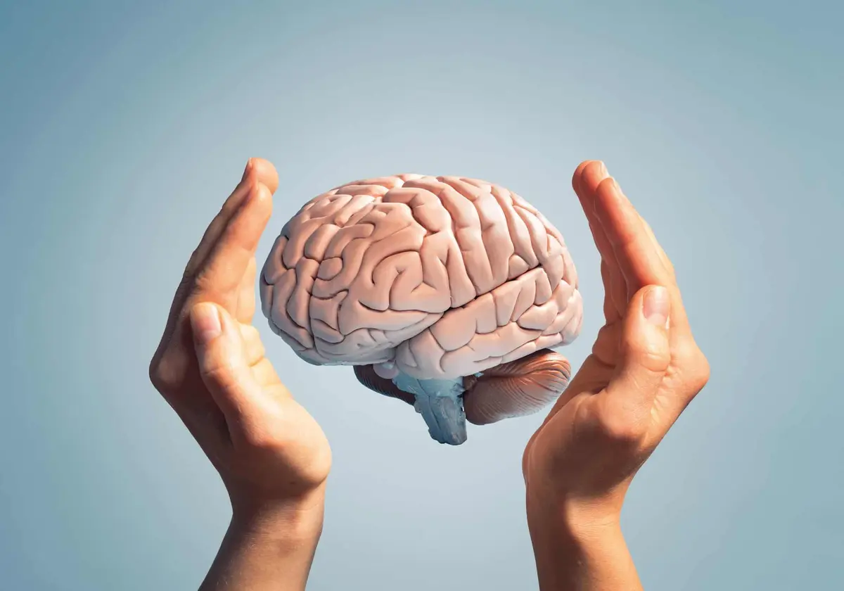 لماذا يحتاج دماغك إلى طقوس يومية؟