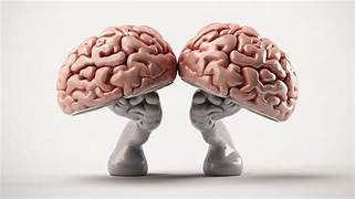 لماذا يحتاج دماغك إلى طقوس يومية؟
