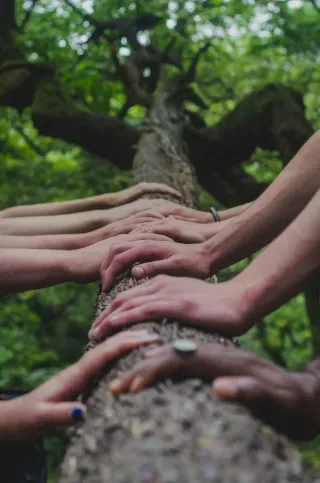 لماذا يشعر الكثير من الناس بالانفصال؟