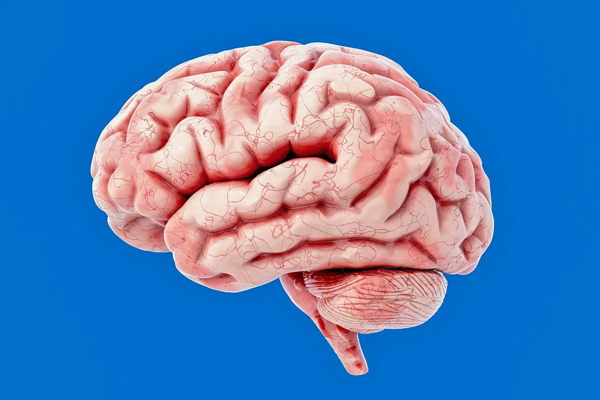 7 حقائق حساسة عن حاسة اللمس 