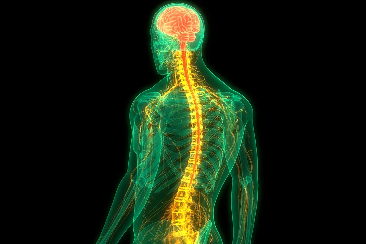 7 حقائق حساسة عن حاسة اللمس 